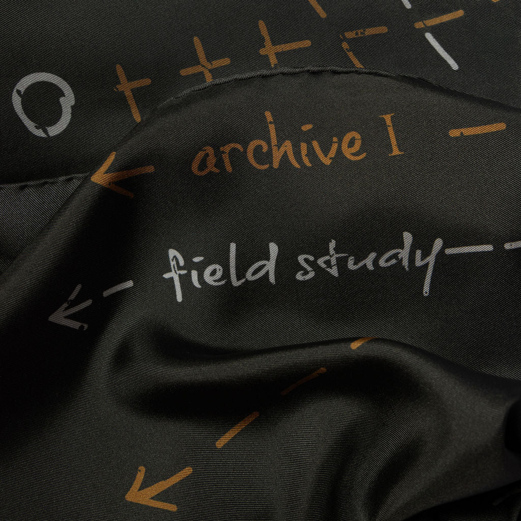 Field Study II Silk Scarf