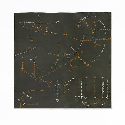 Field Study II Silk Scarf