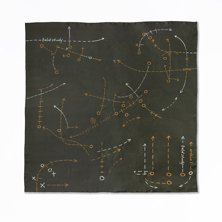 Field Study II Silk Scarf