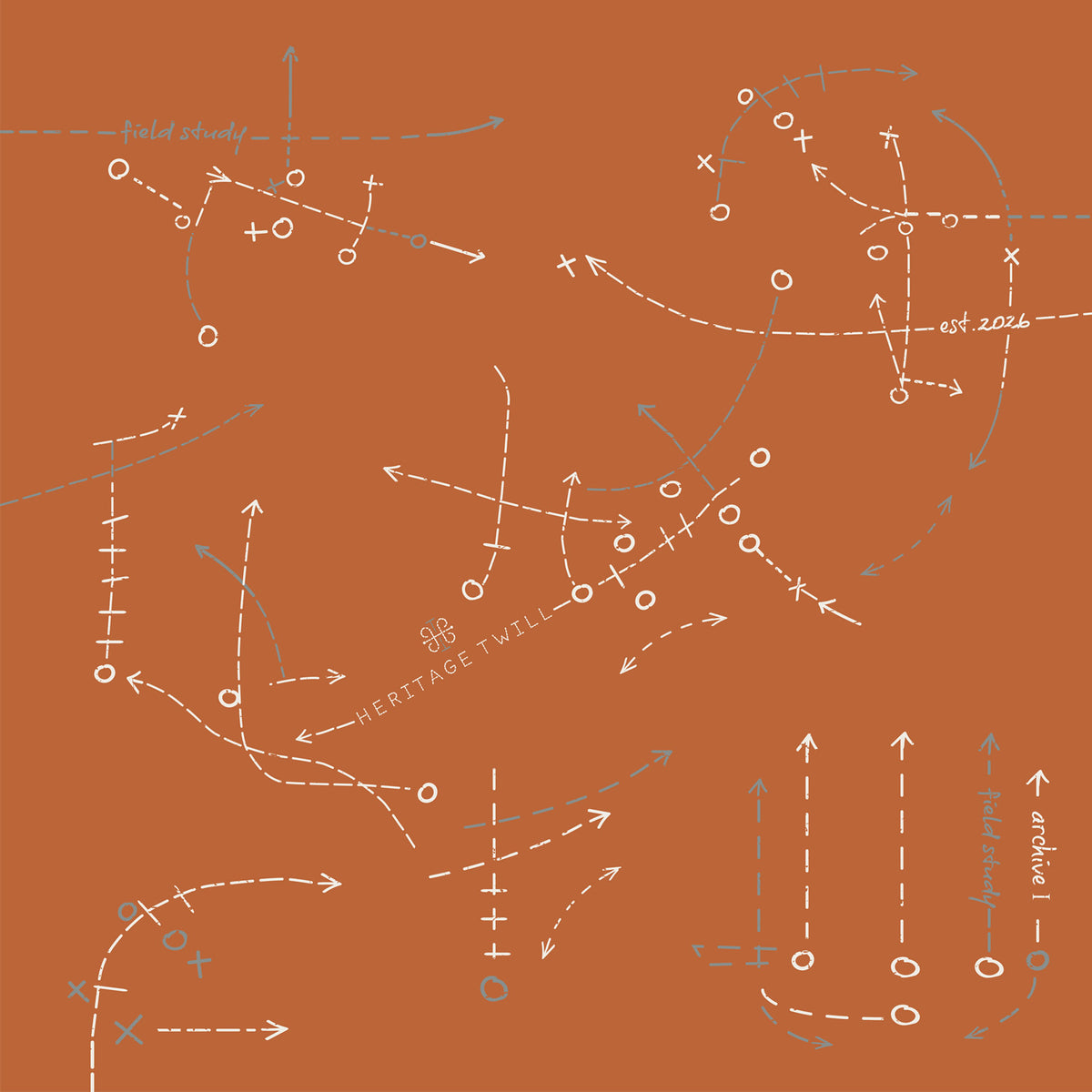 Field Study II Silk Scarf - Pre-Order