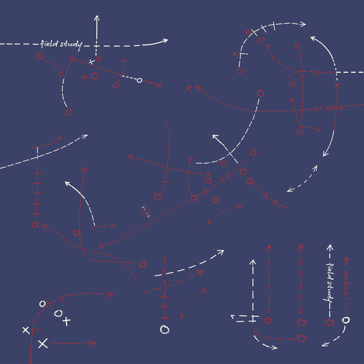Field Study II Silk Scarf - Pre-Order