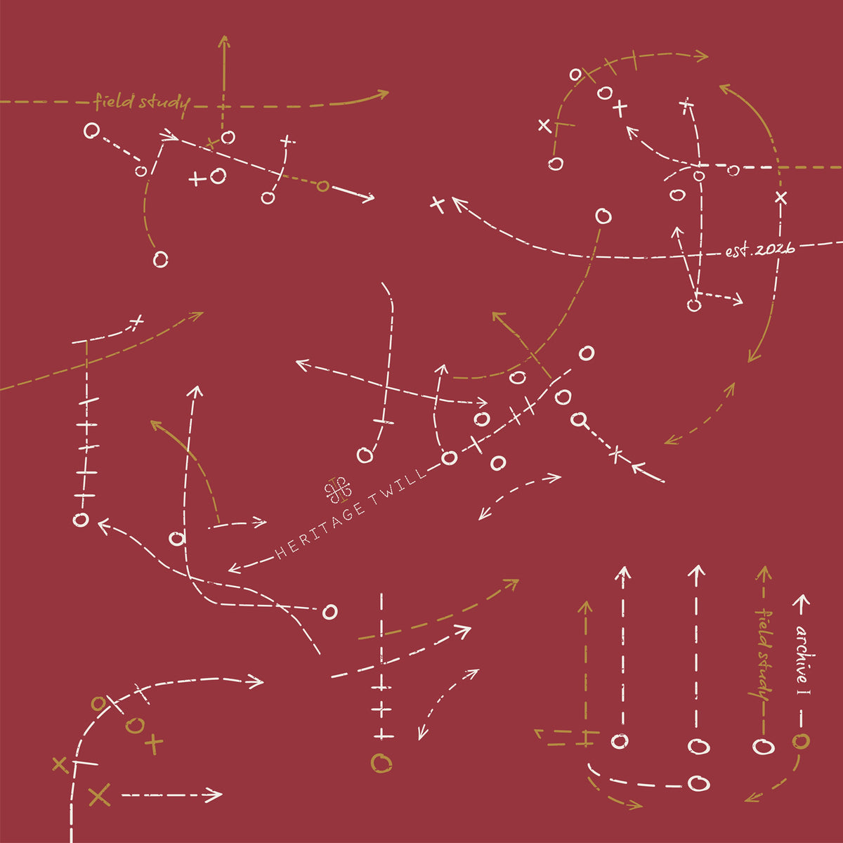 Field Study II Silk Scarf - Pre-Order